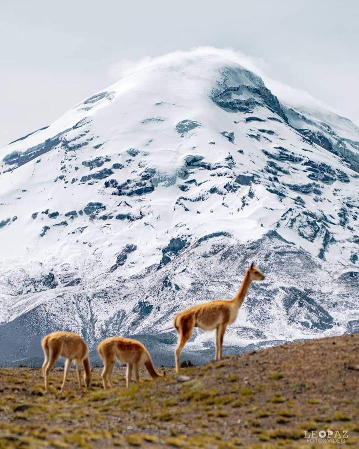 Hotel Bonaventure Quito Buitenkant foto